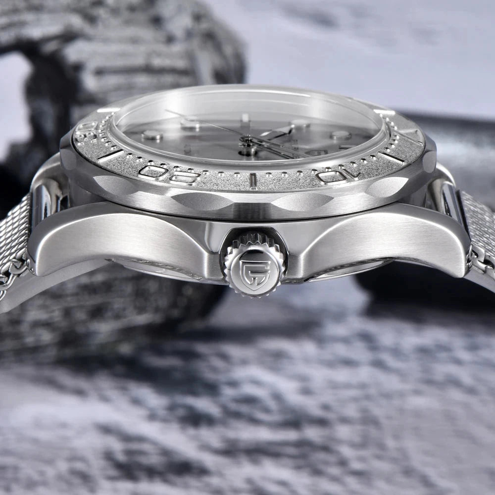Pagani Design Automatic Sapphire Watch with Luminous Hands